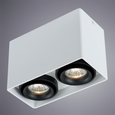 Накладной светильник Arte Lamp 5655 A5655PL-2WH