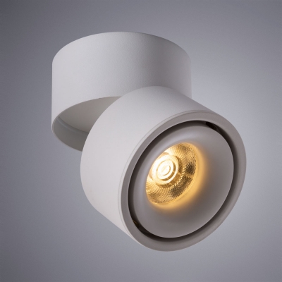 Накладной светодиодный светильник Arte Lamp Arcturus A7715PL-1WH