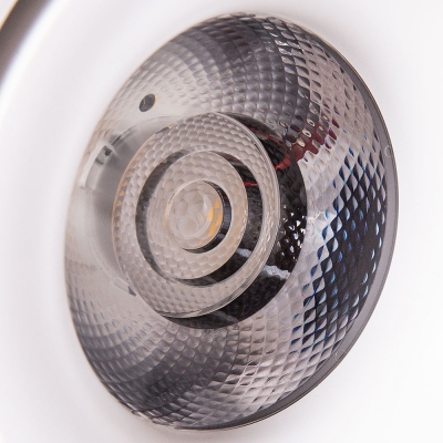 Накладной светодиодный светильник Arte Lamp Arcturus A7715PL-1WH