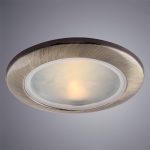 Встраиваемый светильник Arte Lamp Aqua A2024PL-1AB