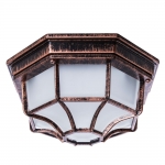 Потолочный уличный светильник Arte Lamp Pegasus A3100PL-1AC