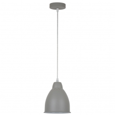 Светильник Arte Lamp Braccio A2054SP-1GY