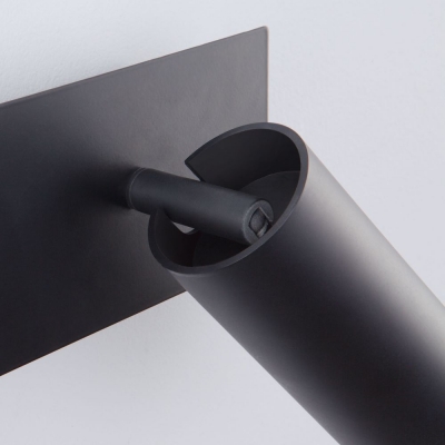 Настенный светильник Eurosvet Fleur 20066/2 LED чёрный