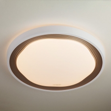 Потолочный светодиодный светильник Eurosvet Range 40006/1 LED коричневый