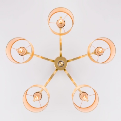 Люстра потолочная Eurosvet Ofelia 60070/5 серебряный