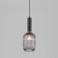 Светильник Eurosvet Bravo 50181/1 чёрный