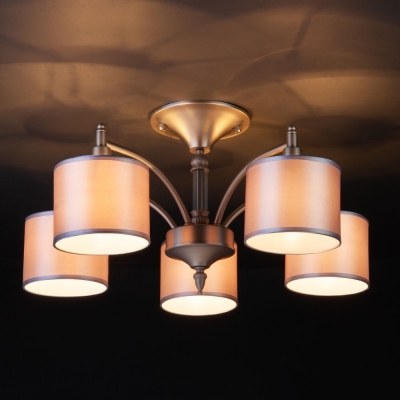 Люстра потолочная Eurosvet Adagio 60080/5 сатинированный никель Люстра потолочная Eurosvet Adagio 60080/5 сатинированный никель