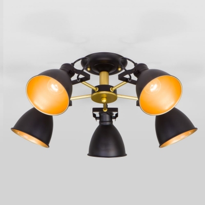 Люстра потолочная Eurosvet Denley 70112/5 золото;черный