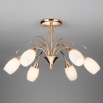 Люстра потолочная Eurosvet Ginevra 22080/6 хром