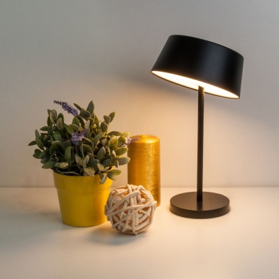 Настольная лампа Eurosvet Apollo 80424/1 черный Настольная лампа Eurosvet Apollo 80424/1 черный