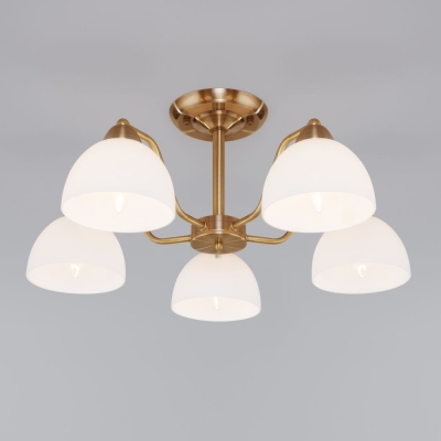 Люстра потолочная Eurosvet Carissa 30172/5 хром