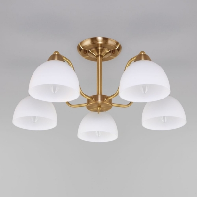 Люстра потолочная Eurosvet Carissa 30172/5 хром