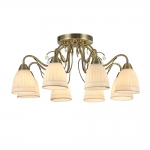 Freya Letizia FR2757-PL-08-BZ