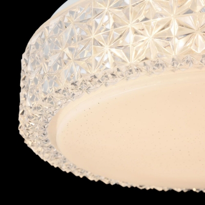 Потолочный светодиодный светильник Freya Alicia FR6309-CL01-12W-W