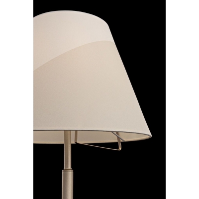 Напольный светильник Freya Vanessa FR5084FL-01G