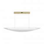 Подвесной светильник Freya Cloud FR5441PL-L40G