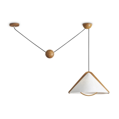 Потолочный светильник Freya Umbra FR5554CL-01T 