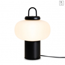 Настольная лампа Freya Take FR6175TL-L10B