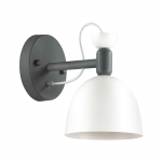 Настенный светильник LUMION FIONA 3687/1W