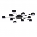 Потолочная люстра LUMION TORINA 8344/10C