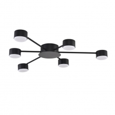 Потолочная люстра LUMION TORINA 8344/6C