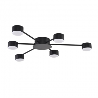 Потолочная люстра LUMION TORINA 8344/6C