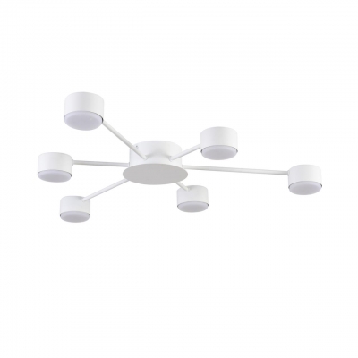 Потолочная люстра LUMION TORINA 8343/6C