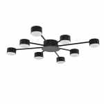 Потолочная люстра LUMION TORINA 8344/8C