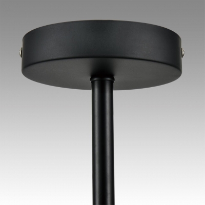 Люстра потолочная LUMION EMINA 8059/4C