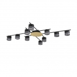 Потолочная люстра LUMION BENUA 8304/10C