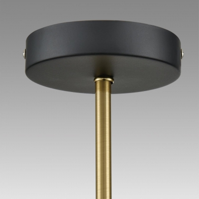 Люстра LUMION ALMIRA 8058/8C