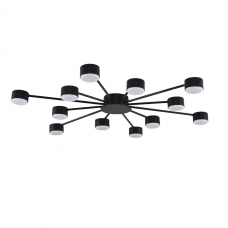 Потолочная люстра LUMION TORINA 8344/12C