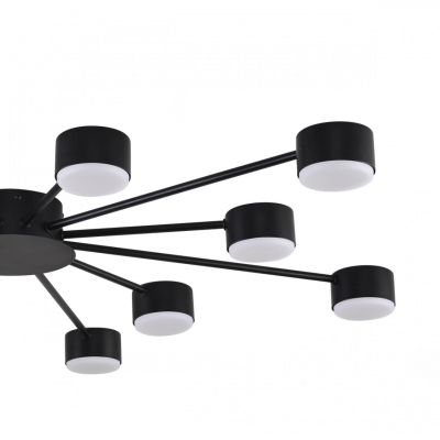 Потолочная люстра LUMION TORINA 8344/12C