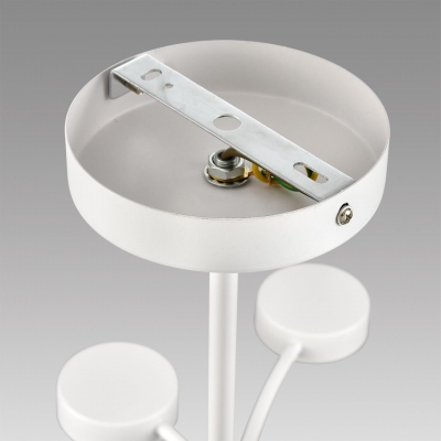 Потолочная люстра LUMION TORINA 8265/12