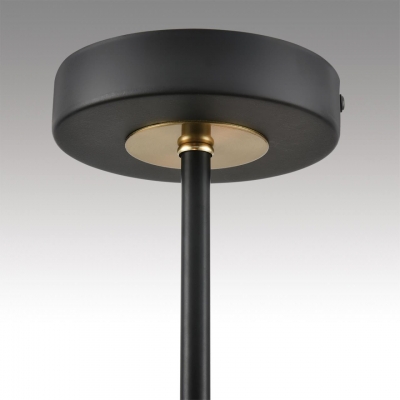 Люстра потолочная LUMION VIVANA 8153/6C