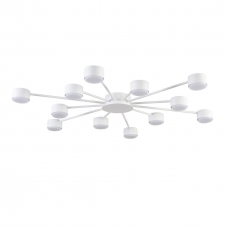 Потолочная люстра LUMION TORINA 8343/12C