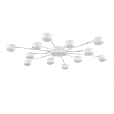 Потолочная люстра LUMION TORINA 8343/12C