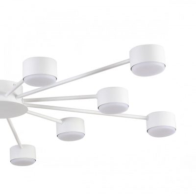 Потолочная люстра LUMION TORINA 8343/12C