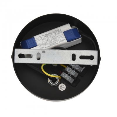 Люстра подвесная LUMION CAMOMILE 8301/10L