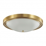 Потолочный светильник LUMION NINA 5259/4C