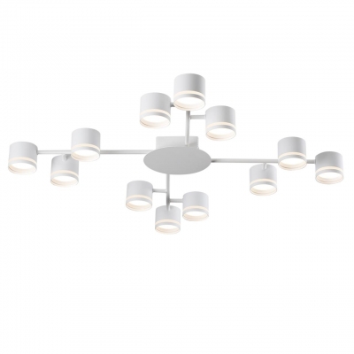 Люстра потолочная LUMION COMFI 8235/12C