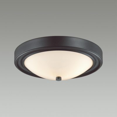 Потолочный светильник LUMION NINA 5260/2C Потолочный светильник LUMION NINA 5260/2C