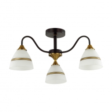 Люстра потолочная LUMION NETTIE 5214/3C