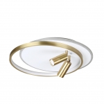 Светодиодная люстра LUMION NAOKO 5603/63CL