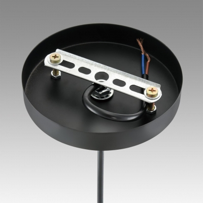 Подвесной светильник LUMION SUSPENTIONI 8052/1A