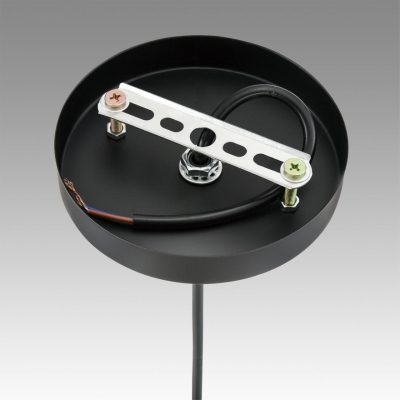 Подвесной светильник LUMION SUSPENTIONI 8057/1A