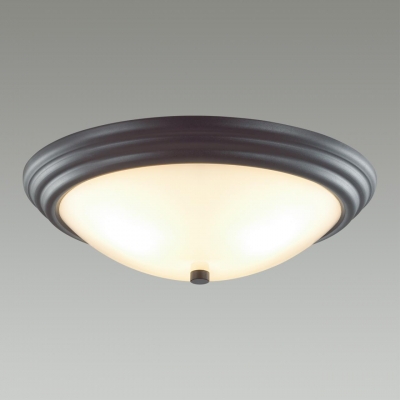 Потолочный светильник LUMION KAYLA 5263/3C