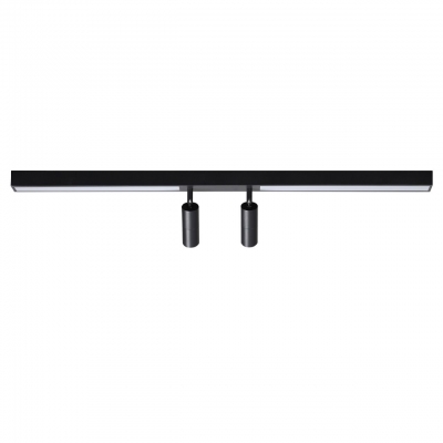 Светильник потолочный LUMION HAWK 5690/14CL