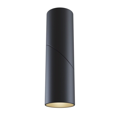 Накладной светодиодный светильник Maytoni Dafne C027CL-L10B