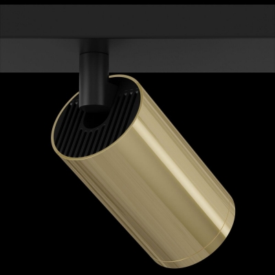 Спот Maytoni FOCUS S C051CL-02BG